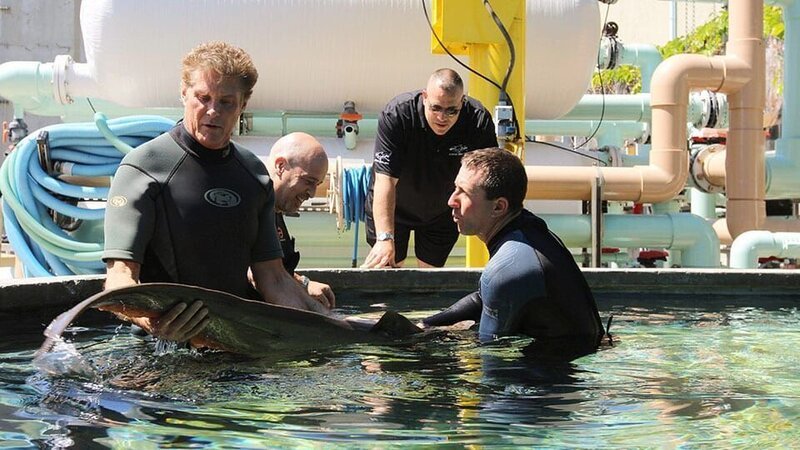 Bild: Animal Planet /​ Discovery Communications