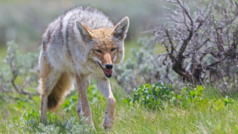 Bild: Westend61 /​ Discovery /​ GettyImages-559539885