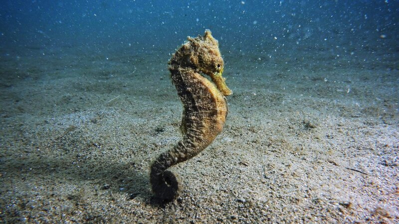 . – Bild: Warner Bros. Discovery