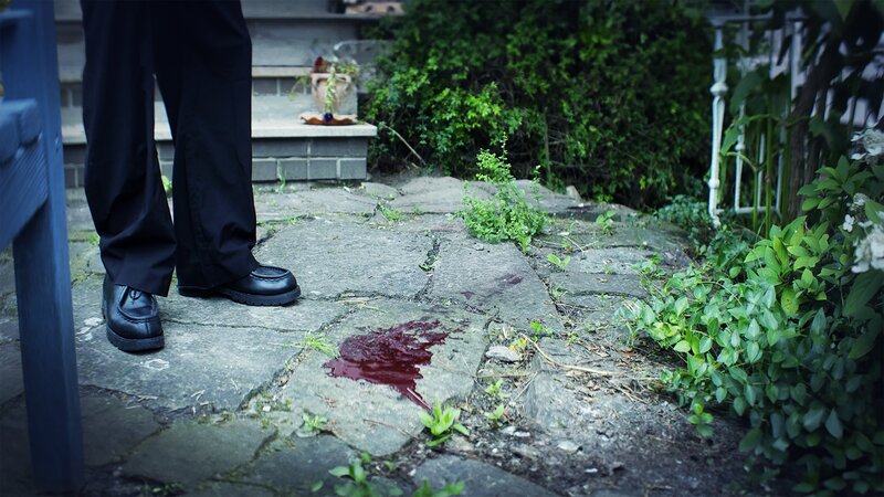 Im Landkreis Goslar verschwindet in den frühen Morgenstunden ein Mann. Seine Familie stößt auf beunruhigende Spuren. – Bild: Tobias Schütze /​ ZDF