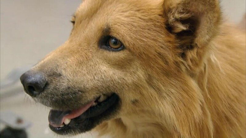 Bild: Tanja Bachetzky