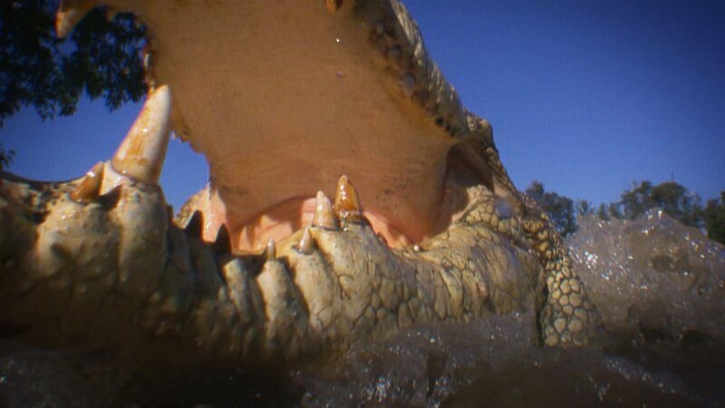 . – Bild: Warner Bros. Discovery