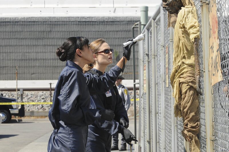 Bild: Fox and its related entities /​ Richard Foreman