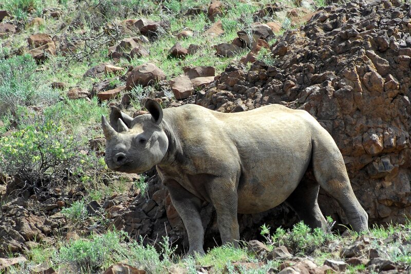 Bild: Discovery Communications, Inc.