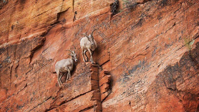 . – Bild: Warner Bros. Discovery