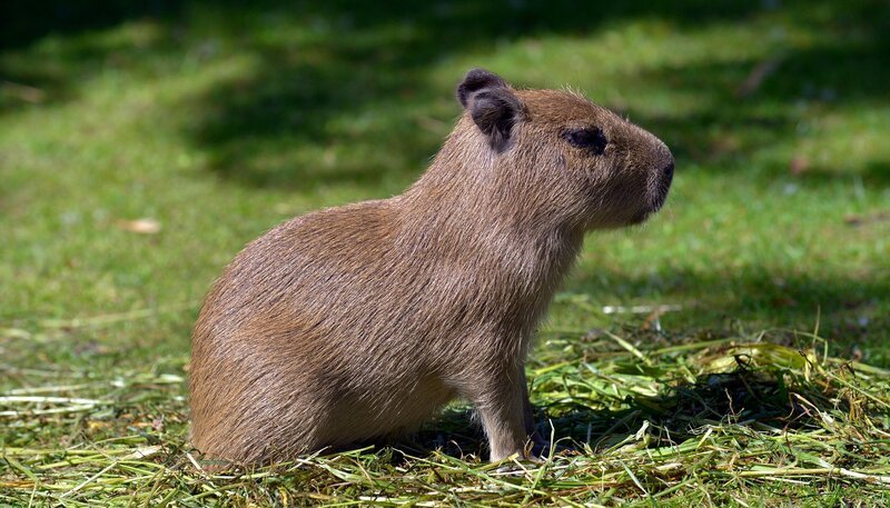 Bild: rbb/​Thomas Ernst