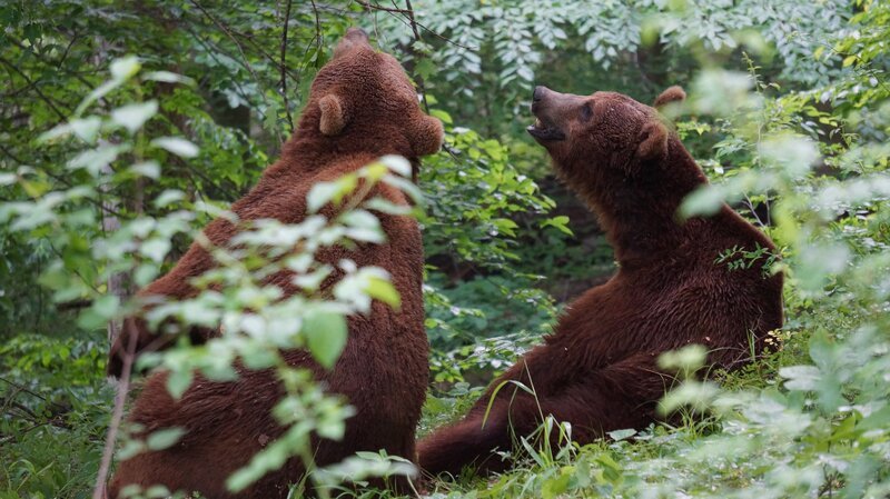 Bild: Discovery Communications /​ Photobank