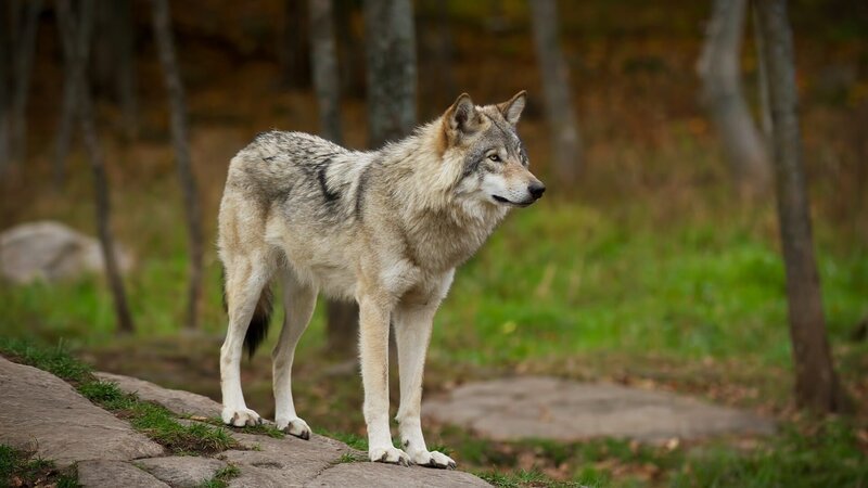 . – Bild: Warner Bros. Discovery