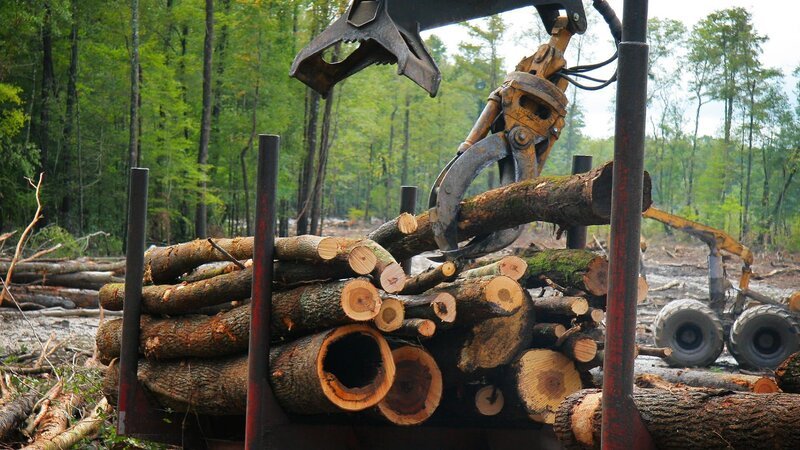 . – Bild: Warner Bros. Discovery