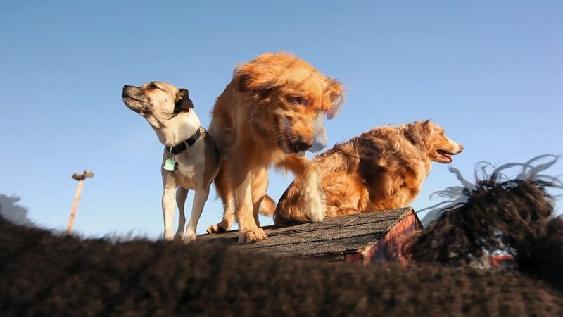 . – Bild: Warner Bros. Discovery