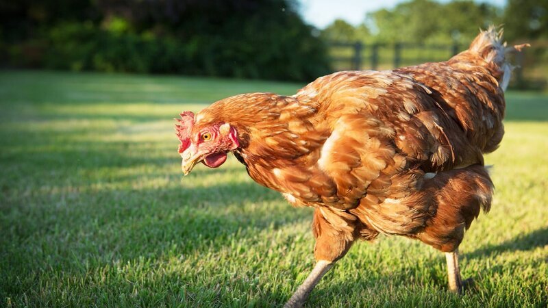 . – Bild: Warner Bros. Discovery