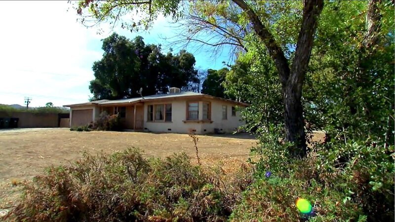 Bild: Tanja Bachetzky