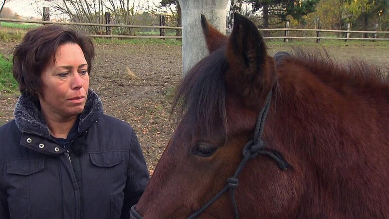 Bild: RTL