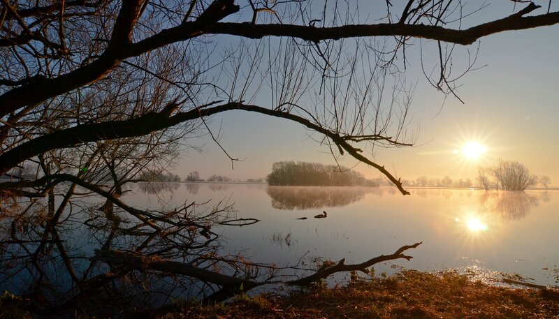 Sonnenaufgang am Bölsdorfer Haken bei Tangermünde. Die überschwemmten Elbauen sind die Heimat von Bibern, Fischottern und Kranichen. – Bild: NDR/​Schieke