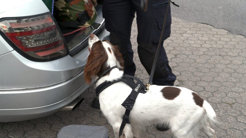 . – Bild: Warner Bros. Discovery