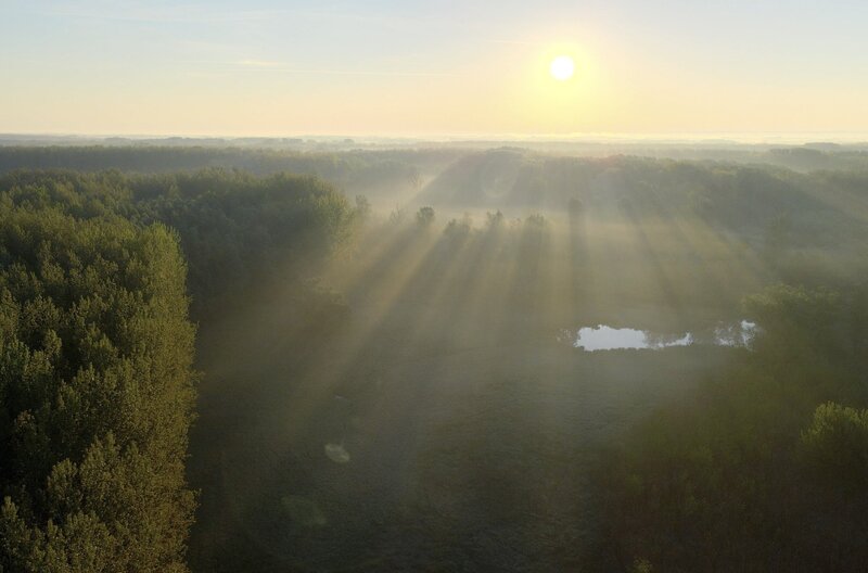 Landschaftsaufnahme vom Auenland an der Drau und Donau – Bild: Szabolcs Mosonyi