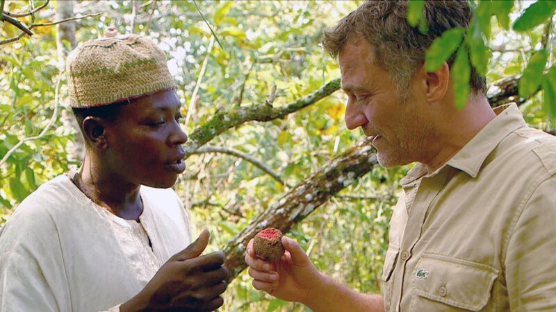 Bild: Bonne Pioche Télévision