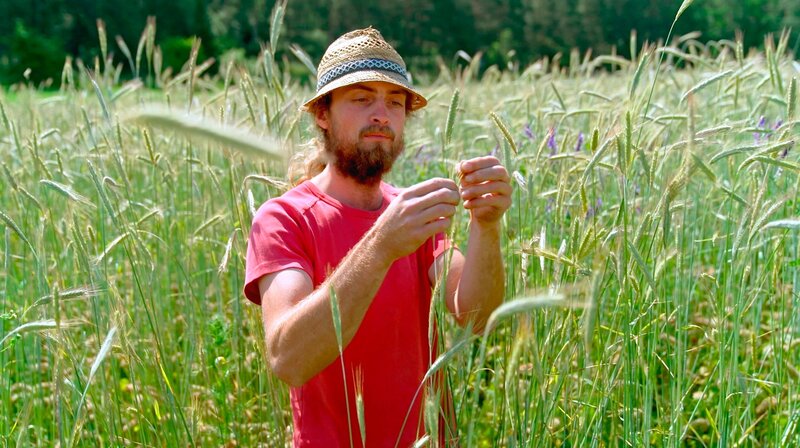 Tristan Billmann hätte auch an der Uni bleiben und Professor werden können – stattdessen rettete er den elterlichen Hof und experimentiert mit neuen Gemüsesorten und einem Anbau ohne künstliche Bewässerung. – Bild: BR/​isarflimmern fernsehproduktion GmbH & Cutflow GmbH/​Jens-Tibor Homm