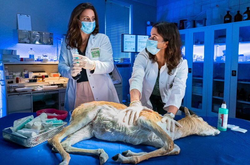 Bild: ARD/​Steffen Junghans