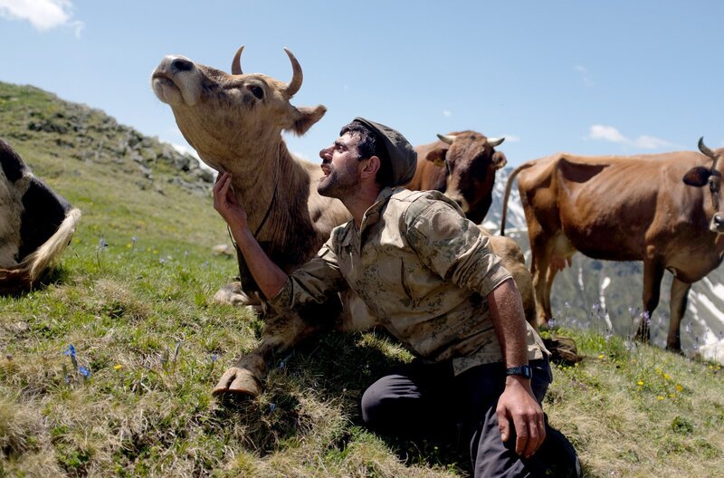 Türkei, am Fuße des Kaçkar-Gebirges. Im Frühsommer, nach dem Opferfest Kurban Bayram, zieht die Familie von Selim Hutoğlu mit ihren Kühen auf die 3.100 Meter gelegene Hochebene, wo sie ihre Tiere drei Monate lang weiden lassen. – Bild: MedienKontor/​Samuel Kaufmann