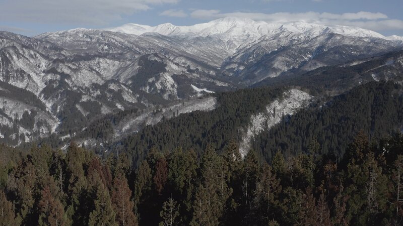 Bild: Curiosity Channel