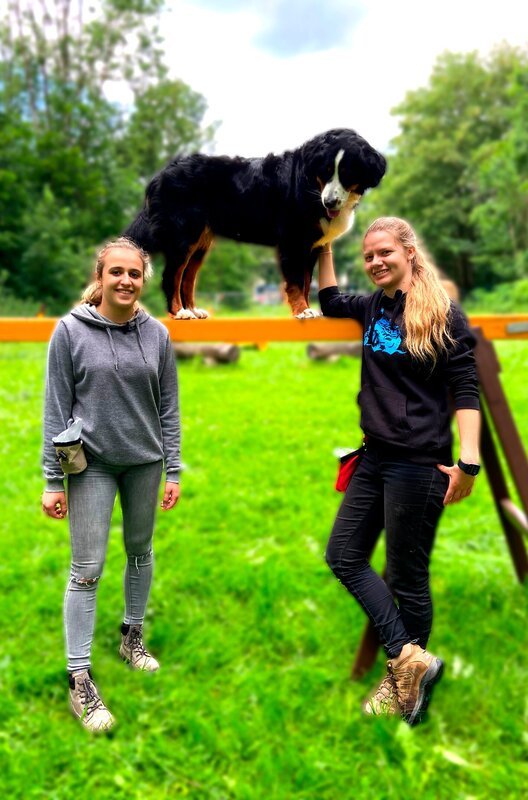 Sara und Sophia. – Bild: SWR Sara und Sophia. – Bild: SWR