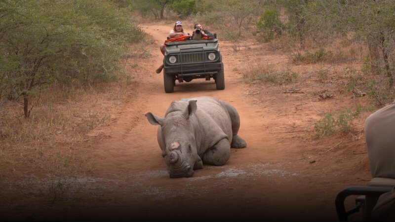 Bild: Curiosity Stream Inc.