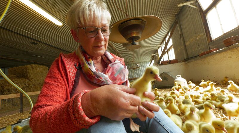 Andrea Lau – Zuchtleiterin in Königswartha – Bild: MDR/​Stefan Simank