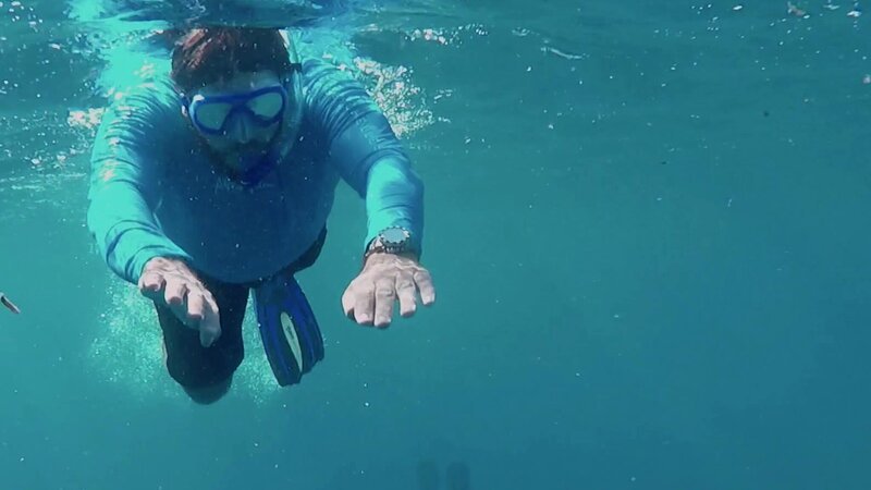 Bild: Curiosity Channel powered by Spiegel