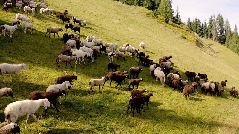 Bild: ORF/​splash productions