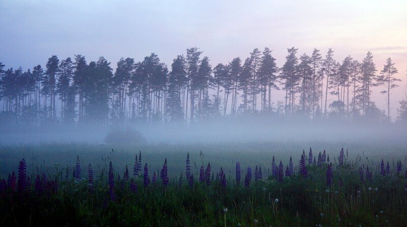 Die Havel – Bild: NDR/​telekine/​Frank Koschewski