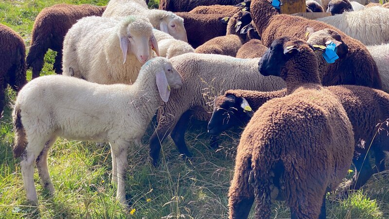 Bild: ORF/splash productions Bild: ORF/splash productions