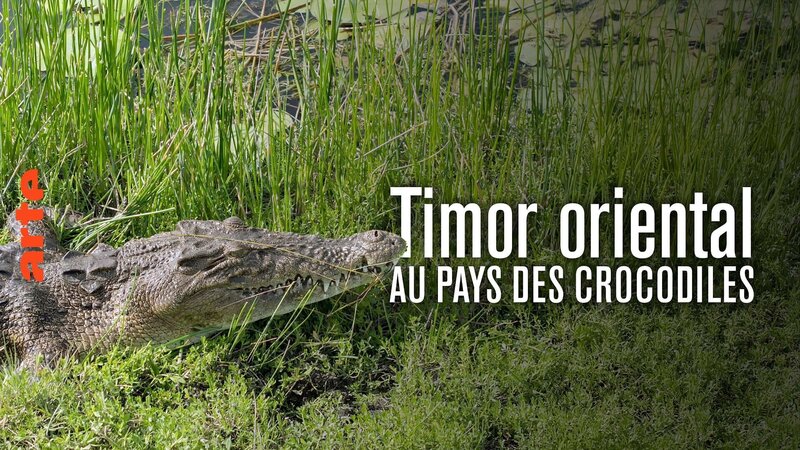 Timor-Leste - Im Land des schlafenden Krokodils – Bild: arte