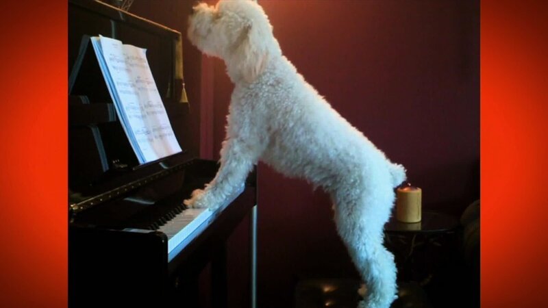 Bild: Comedy Central