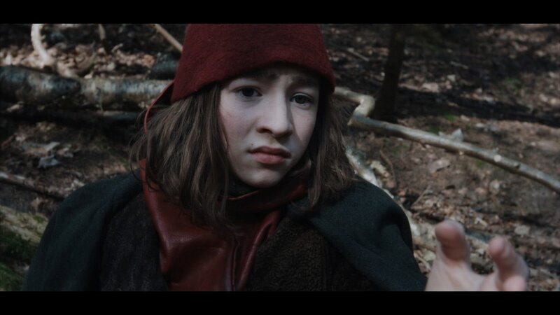 Ein verletzter Wichtel am Boden des Waldes – Bild: BR/​Cosmo Film/​TV2 Denmark