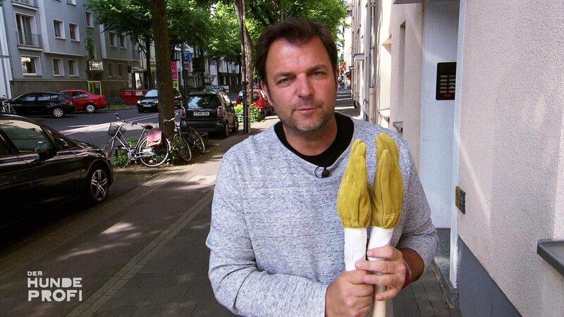 Bild: RTL Deutschland