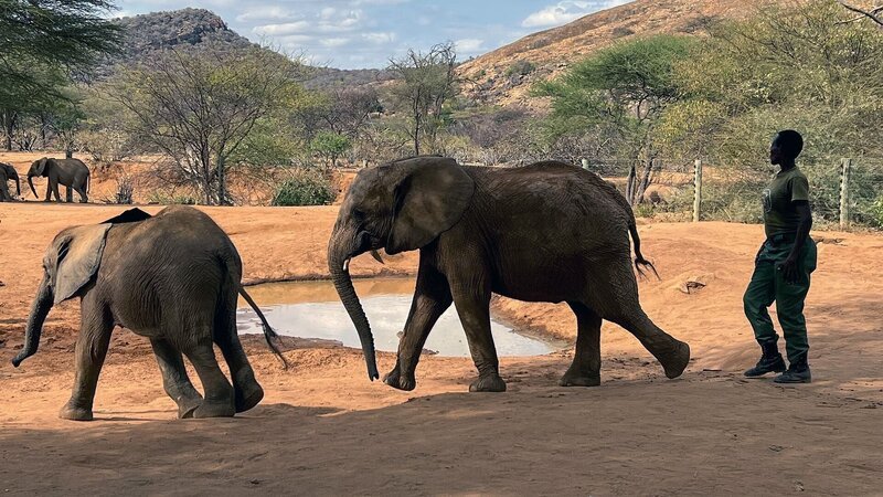  – Bild: Les Protagonistes Productions