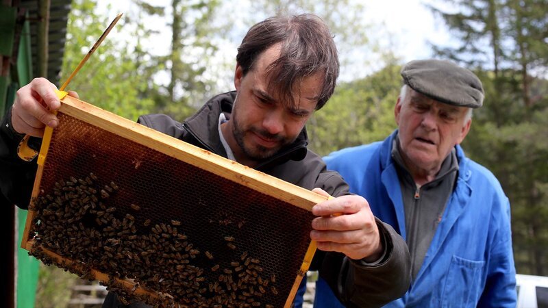 Bild: Bergblick Bild: Bergblick