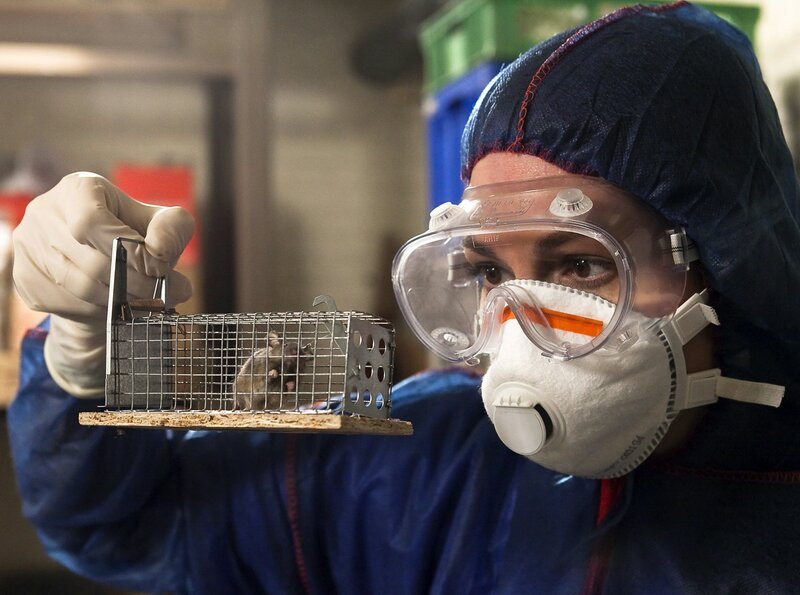 Dr. Elena Eichhorn (Cheryl Shepard) findet im Jazzclub die Ursache für den Zustand der Patienten. Mit einer Lieferung ist eine nordamerikanische Maus in der Bar gelandet, die einen gefährlichen Virus überträgt. – Bild: MDR/​Peter Krajewsky