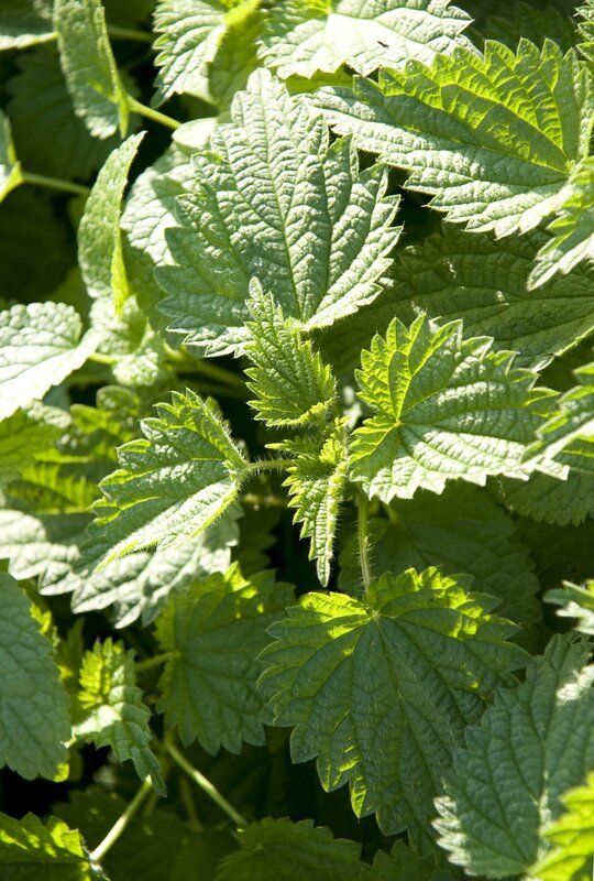 Bild: BR/​Natasha-I. Heuse