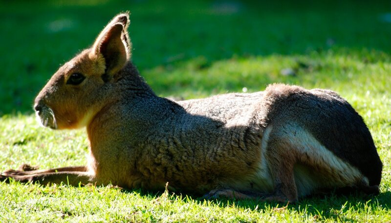 Bild: Felix Heidinger/​Jens-Uwe Heins