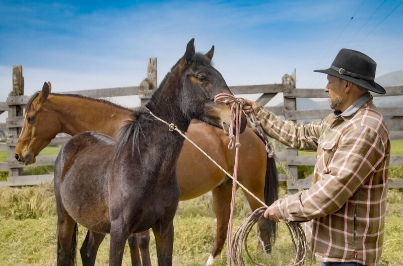 Die Anden Ecuadors – Bild: Alejandro Bernal Rueda