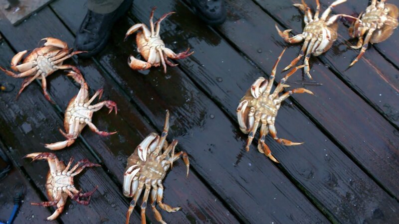 . – Bild: Warner Bros. Discovery