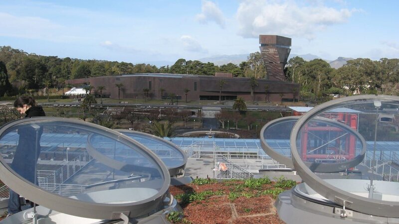 Bild: National Geographic Channel