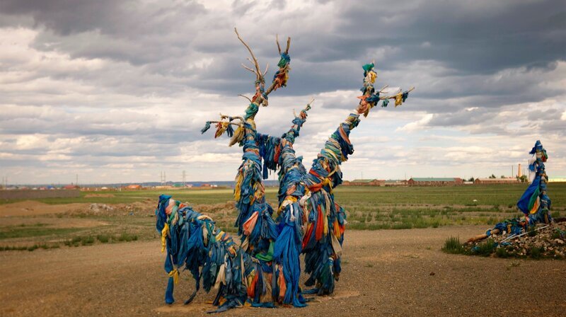 Der traditionelle Glaube in der Mongolei besagt, dass Naturwesen auch in Bäumen und Flüssen beheimatet sind. – Bild: NDR/Gebrüder Beetz Filmproduktion Der traditionelle Glaube in der Mongolei besagt, dass Naturwesen auch in Bäumen und Flüssen beheimatet sind. – Bild: NDR/Gebrüder Beetz Filmproduktion