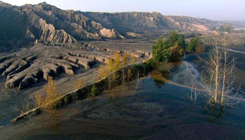 Wenn der Tagebau geht, beginnt die Natur das Land zurück zu erobern – auch in der Lausitz. – Bild: NDR/​Altayfilm