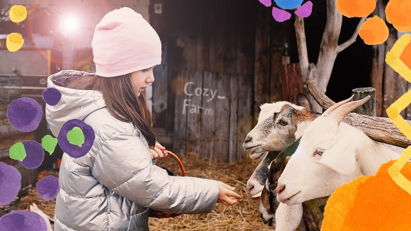 Bild: ZDF/​UA: PBC