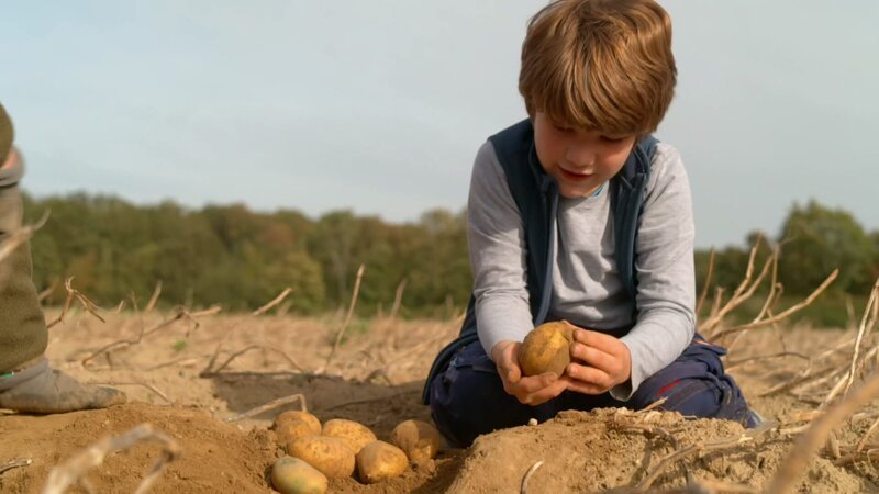Bild: WDR/​Die Sendung mit dem Elefanten