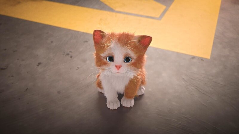 Bild: PLURIMEDIA (TeamTo)