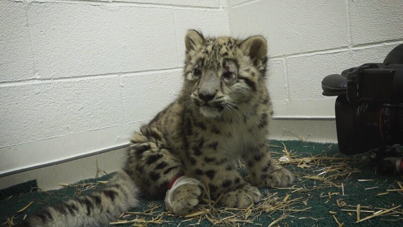 . – Bild: Warner Bros. Discovery